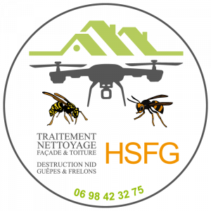 Logo-HSFG-mars-2023